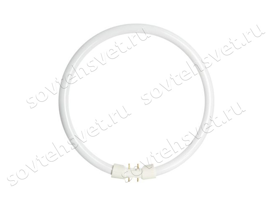 Изображение товара: TL5 Circular 60W/840 2Gx13 / 8711500642615 Philips / Лампа люминесцентная кольцевая
